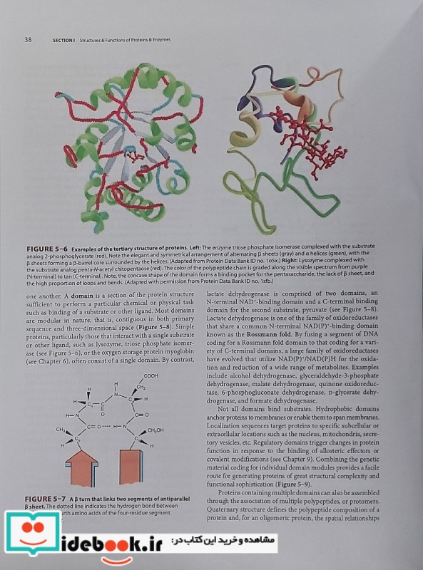 Harper's Illustrated Biochemistry 2023 Thirty-Second Edition