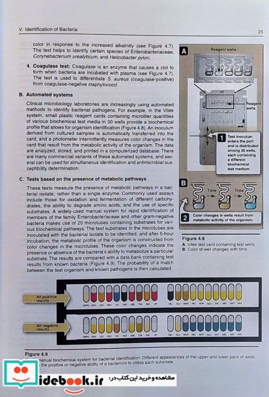 Lippincott Illustrated Reviews Microbiology 2020 4th edition