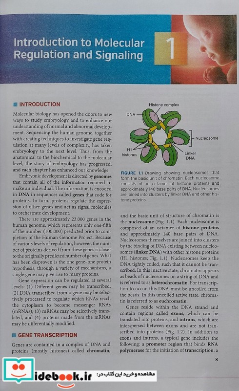 Langman's Medical Embryology Fifteenth Edition