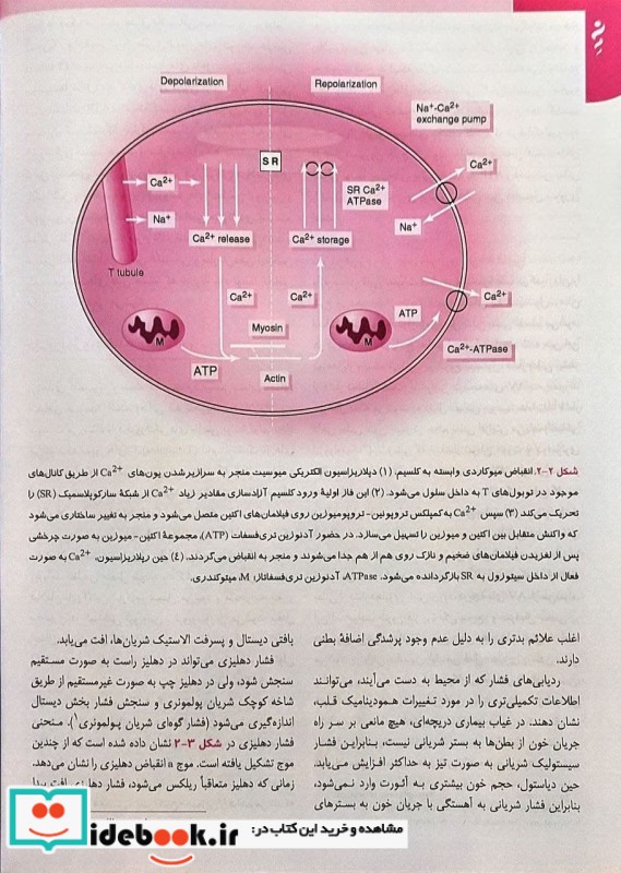 دوره هشت جلدی مبانی طب داخلی سسیل 2022