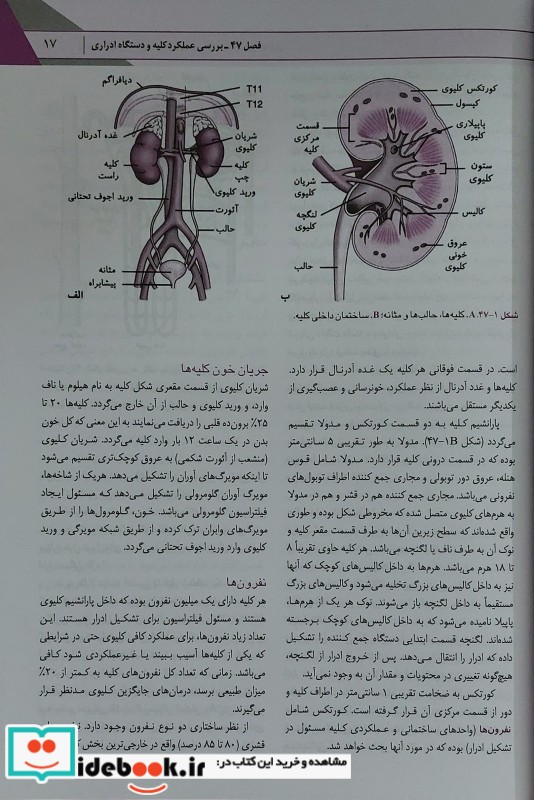 پرستاری داخلی-جراحی برونر و سودارث 2022 کلیه و مجاری ادرار جلد یازدهم