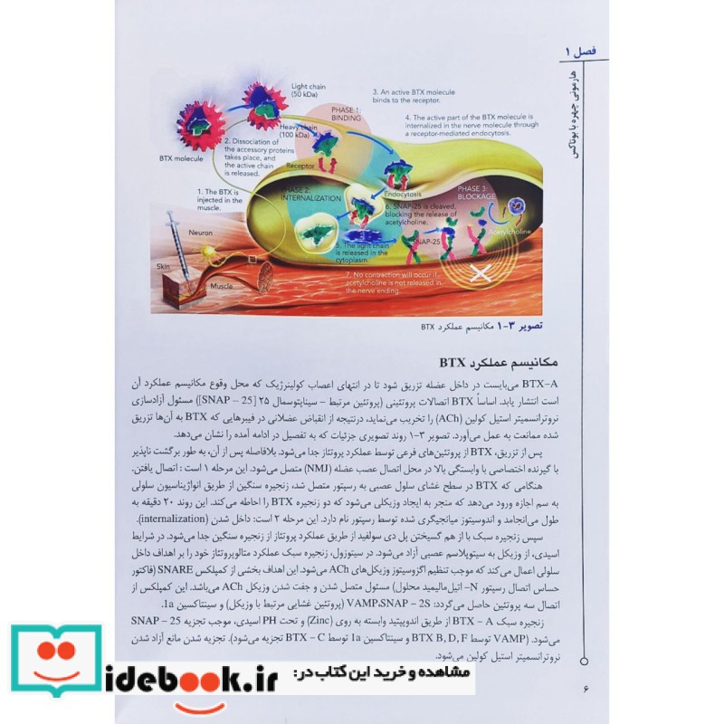 هارمونی چهره با بوتاکس آریا طب همراه با DVD