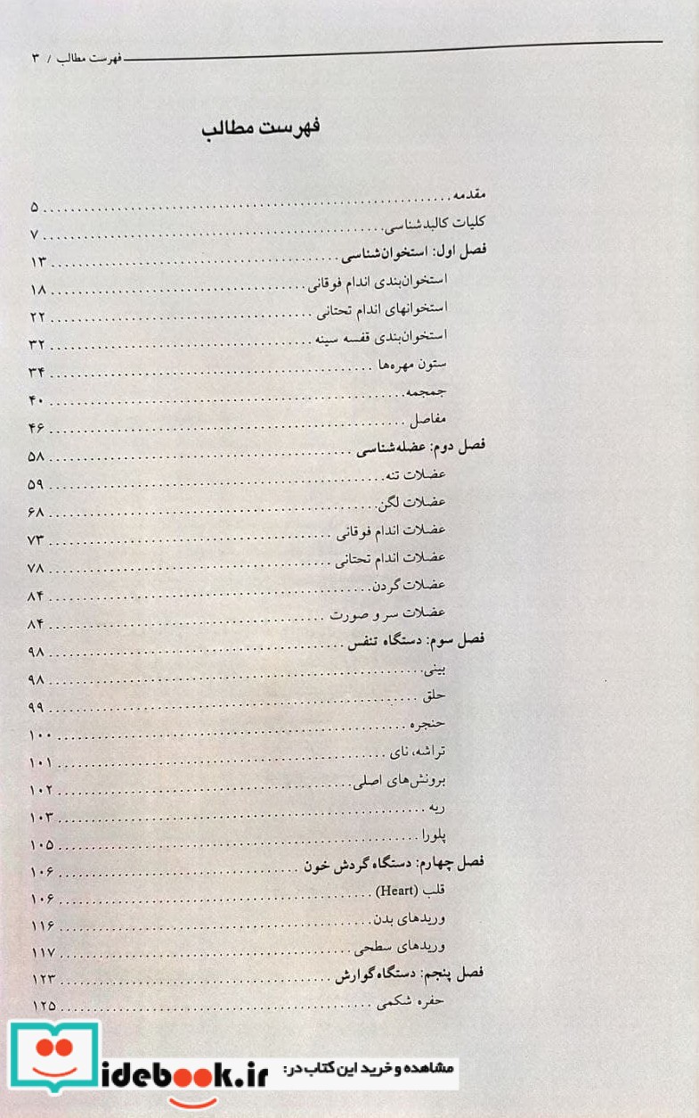 آناتومی عمومی اشراقیه