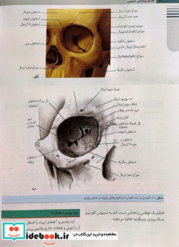 چشم پزشکی عمومی جوادی ویراست دوم 1397