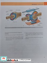 fifth edition 2024 Gray's Anatomy for Students