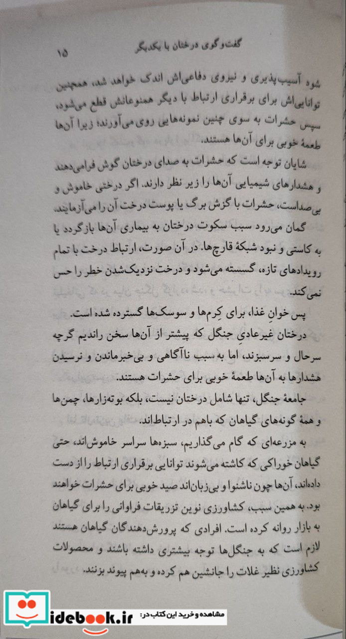 زندگی رازآمیز درختان