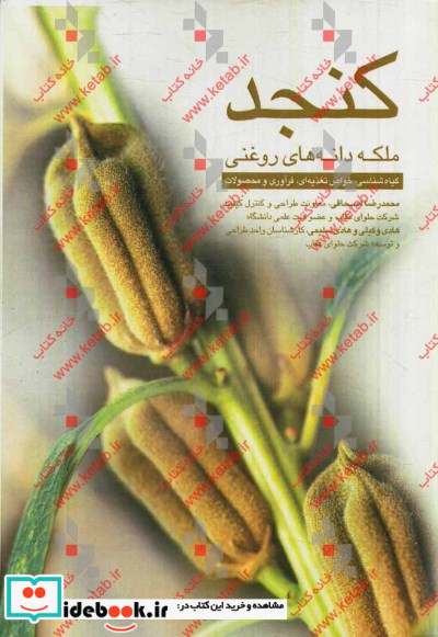 کنجد ملکه دانه های روغنی