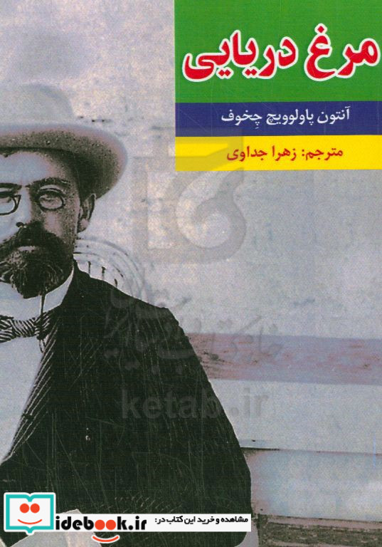 مرغ دریایی