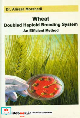 Wheat doubled haploid breeding system an efficient method