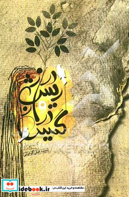 گیس دراز و ریش دراز