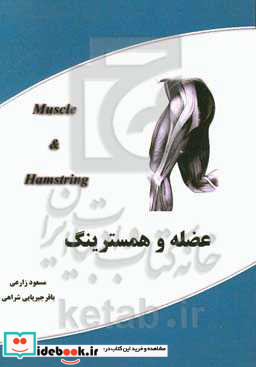 عضله و همسترینگ