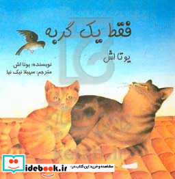 فقط یک گربه