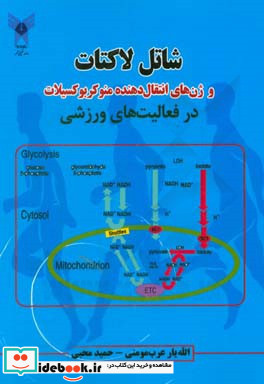 شاتل لاکتات و ژن های انتقال دهنده منو کربوکسیلات در فعالیت های ورزشی