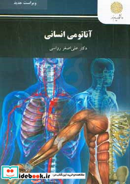 آناتومی انسانی