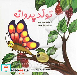 تولد پروانه