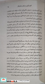 زندگی رازآمیز درختان