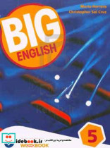 Big English 5 workbook