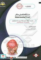 پاتولوژی دستگاه تناسلی مذکر = Male genital tract خلاصه درس به همراه مجموعه سوالات آزمون ارتقاء و بورد پاتولوژی با پاسخ تشریحی ...