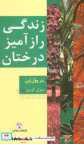 زندگی رازآمیز درختان