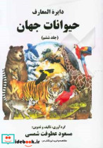 زمزمه های قلب من