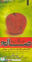 مائده صالح