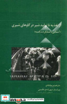 از تغذیه تا تولید شیر در گاوهای شیری آشنایی با عملکرد شکمبه