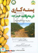 نگاهی نو به پسته کاری مه ولات فیض آباد ویژگی ها فرصت ها و چالش ها