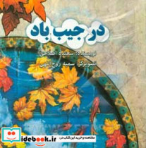 در جیب باد