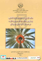 نکات کلیدی در خصوص گرده افشانی پردازش و تنک خوشه هرس و تکریب درخت خرما در استان هرمزگان