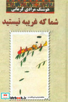 شما که غریبه نیستید