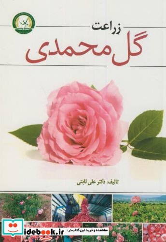 زراعت گل محمدی