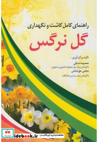 راهنمای کامل کاشت و نگهداری گل نرگس