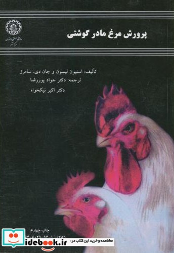 پرورش مرغ مادر گوشتی