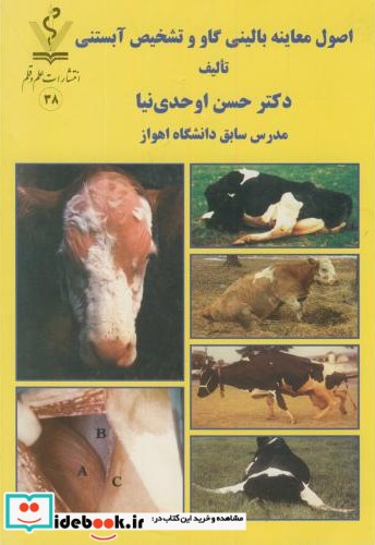 اصول معاینه بالینی گاو و تشخیص آبستنی