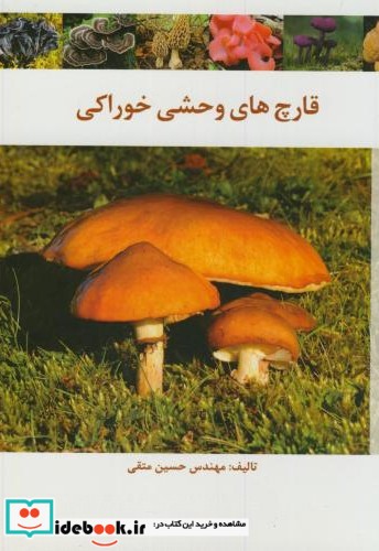 قارچ های وحشی خوراکی