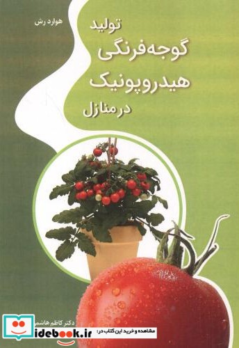 تولید گوجه فرنگی هیدروپونیک در منازل