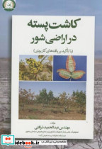 کاشت پسته در اراضی شور