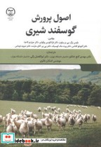 اصول پرورش گوسفند شیری