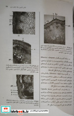 اطلس آناتومی ساقه گیاهان ایران