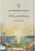 پدیدار شناسی ادراک زرکوب،رقعی،نشرنی