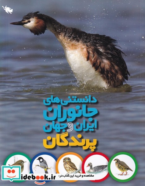 دانستنی های جانوران ایران و جهان پرندگان