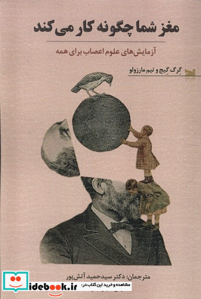 مغز شما چگونه کار می کند خزه