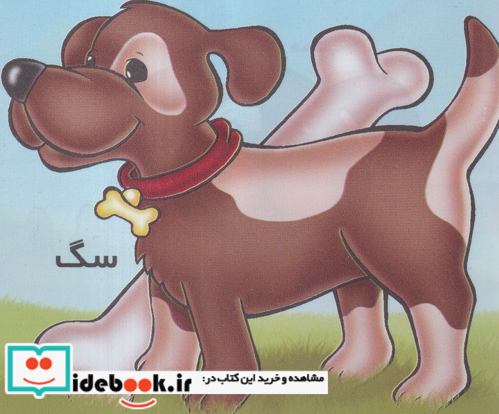 سگ از حیوانات را بشناسیم