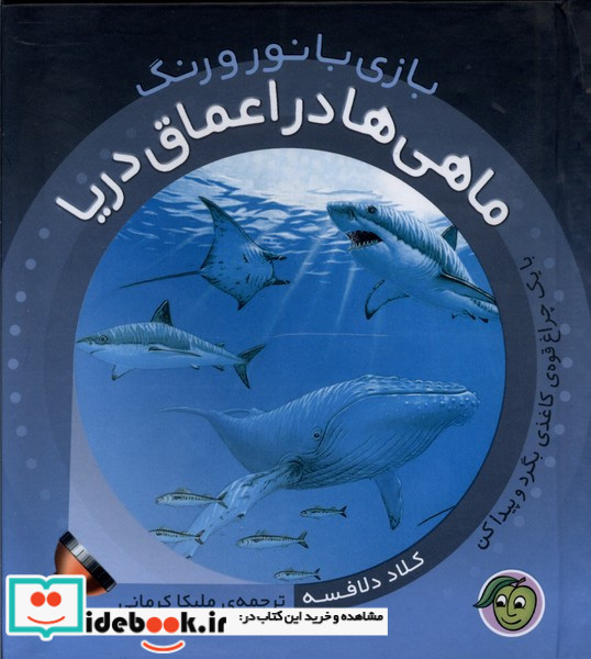 بازی با نور و رنگ ماهی هادراعماق دریا پیام مشرق
