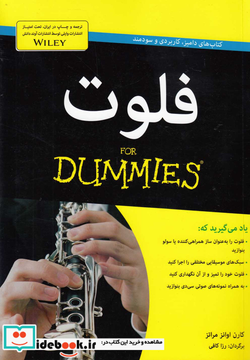 فلوت از دامیز