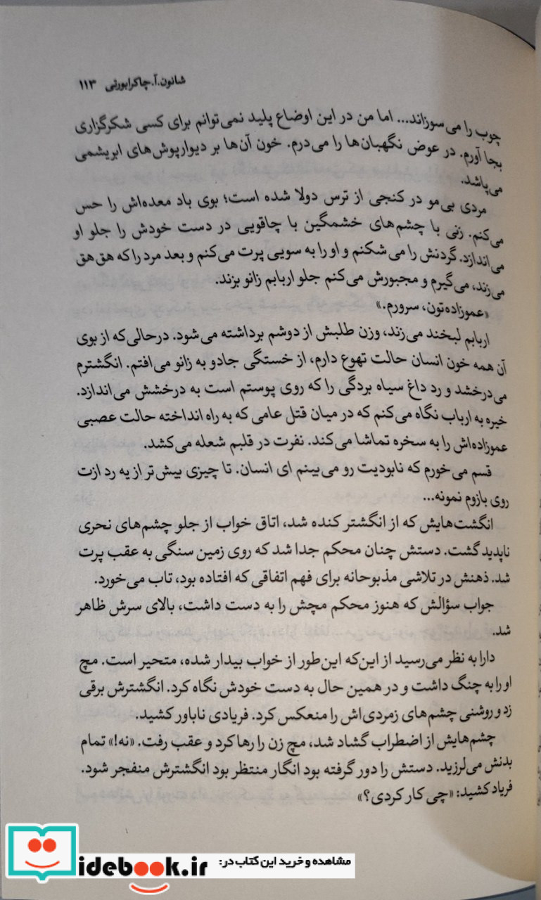 شهری از برنج مجموعه ی دیوآباد تندیس