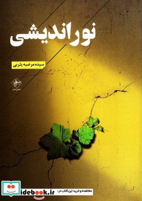 نور اندیشی