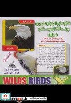 کارتهای آموزشی تصویری پرندگان وحشی