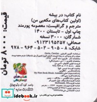 در بیشه از اولین کتاب مکعبی من