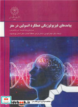 پیامدهای فیزیولوژیکی عملکرد انسولین در مغز